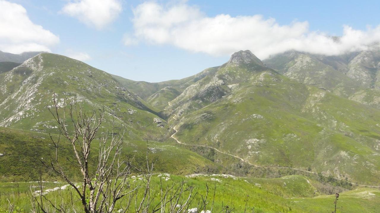 Kooboo Berry Ocean View, Self Catering Guesthouse 윌더니스 외부 사진
